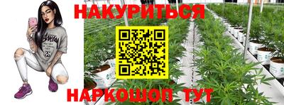 скорость Заволжье