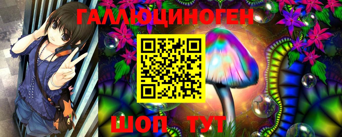Псилоцибиновые грибы мухоморы  Вход с VPN  купить наркотик  Георгиевск  Псилоцибиновые грибы мицелий 